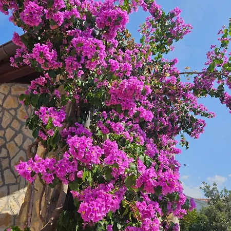 With Sea View 公寓