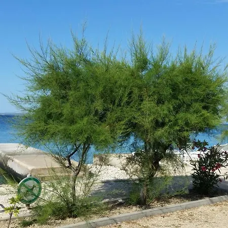 With Sea View *